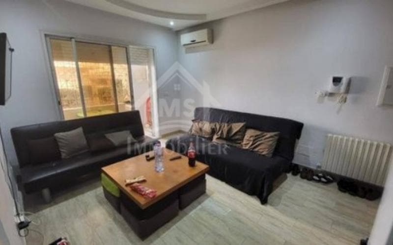 Appartement s+1 3