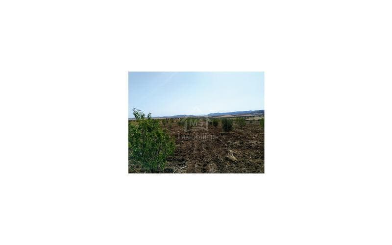 Terrain 10