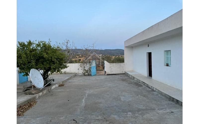 Maison s+3 8