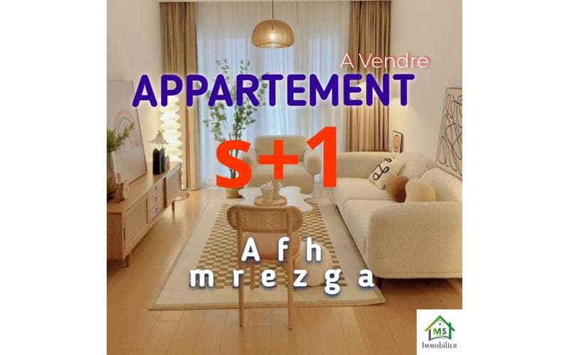 Appartement s+1