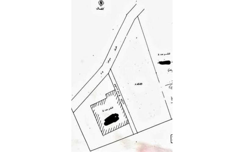 Terrain 5