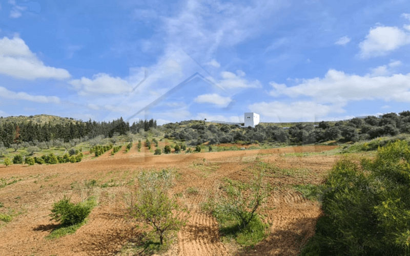 Terrain 2