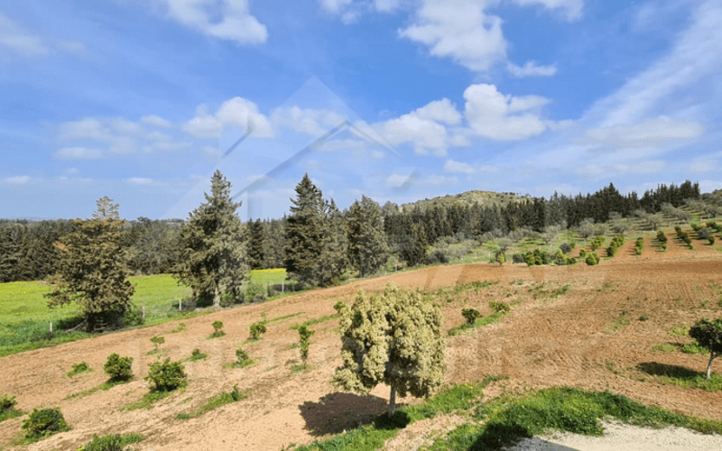 Terrain 3