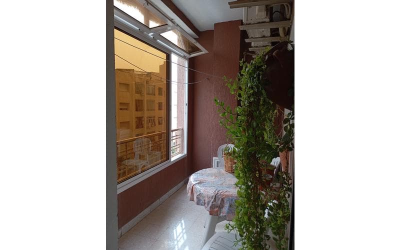 Appartement s+3 12