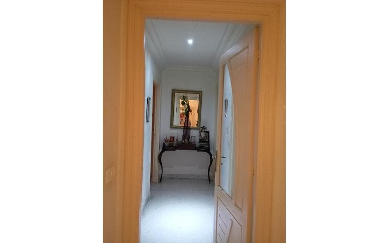 Appartement s+3 13