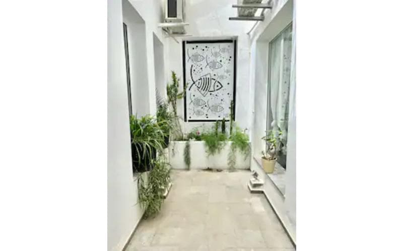 Appartement s+2 5