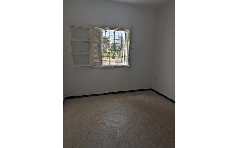 Appartement s+2