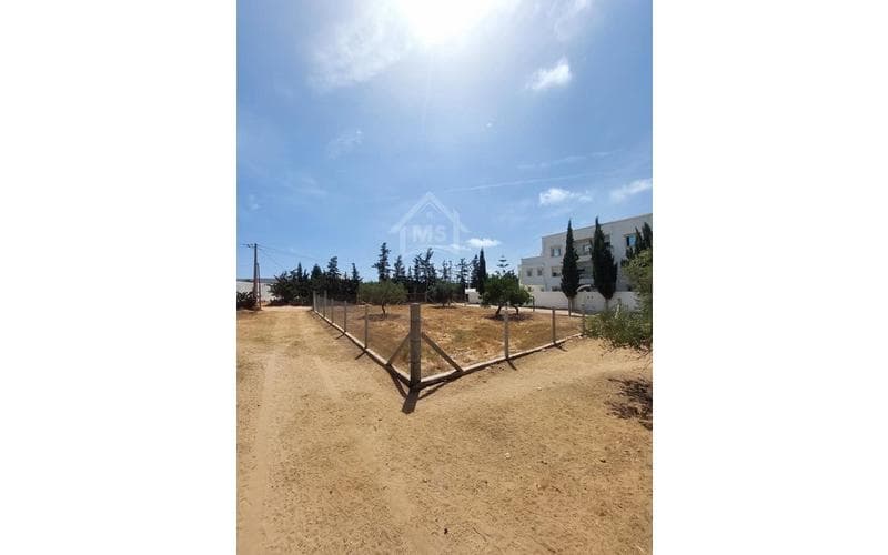 Terrain 2