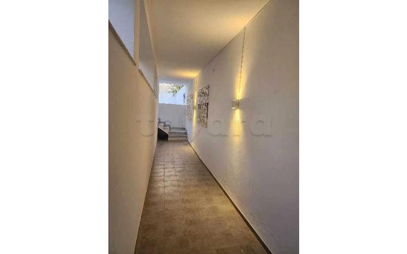Maison s+2