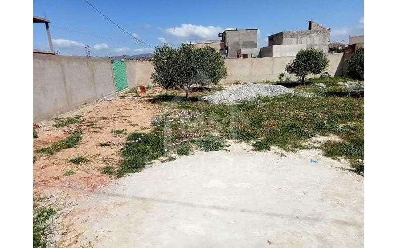 Terrain 4