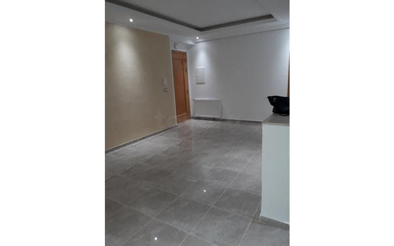 Appartement s+1