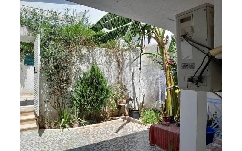 Maison s+1