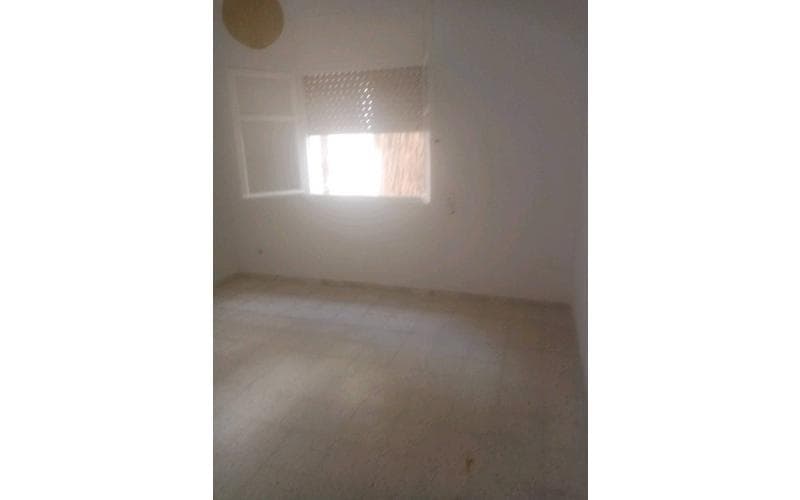 Appartement s+1