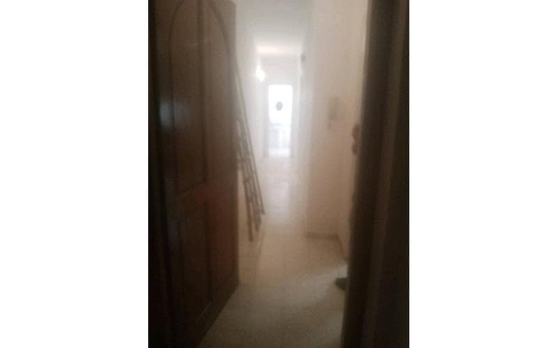 Appartement s+1 3