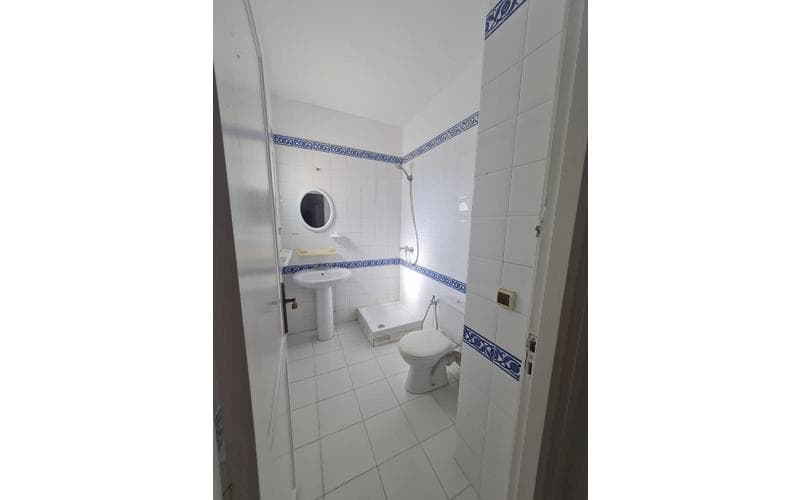 Appartement s+1