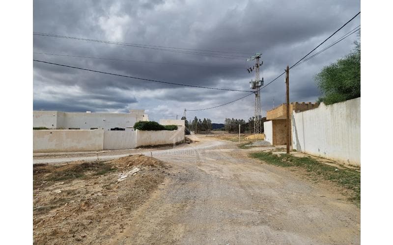 Terrain