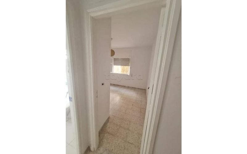 Appartement s+1