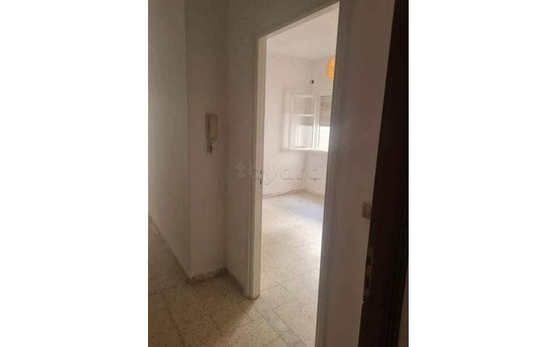 Appartement s+1 4