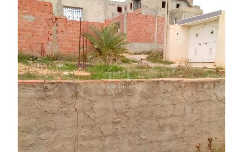 Terrain