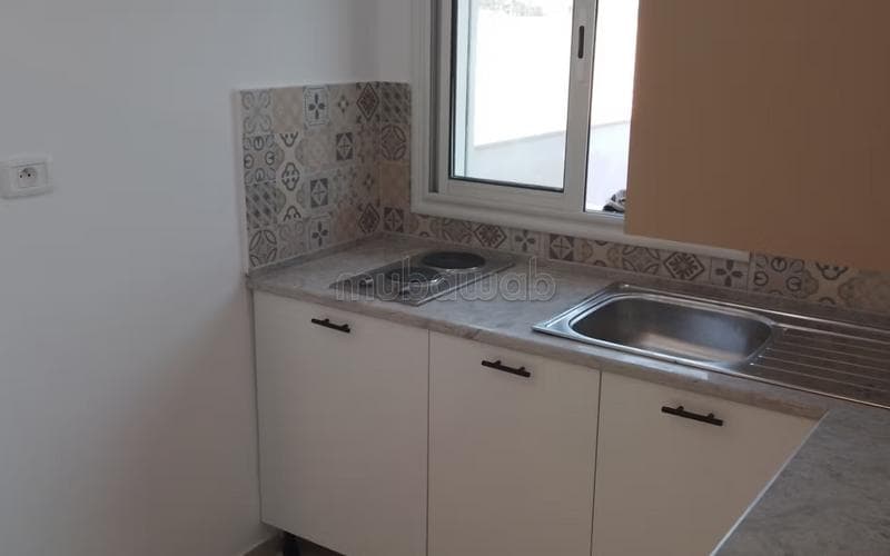 Appartement s+1 3