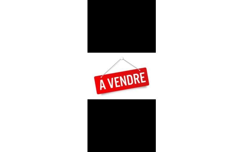 Appartement s+1