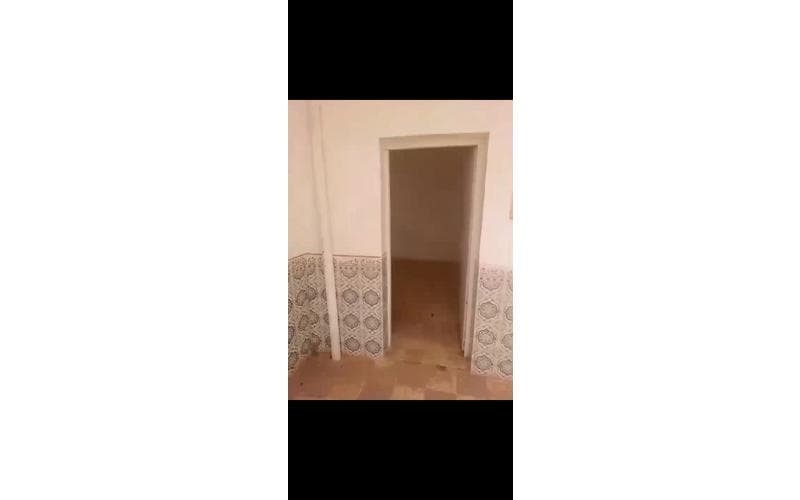 Maison s+1 2