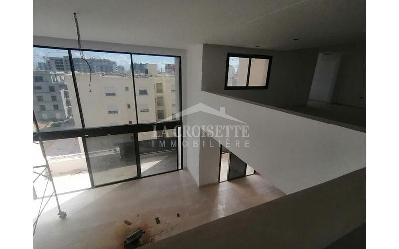Appartement s+5 et plus 3