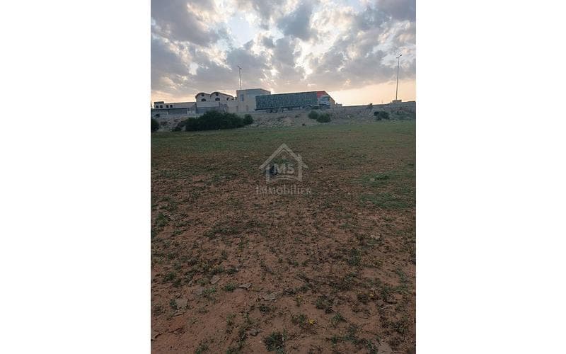 Terrain 3