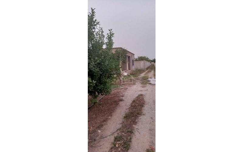 Terrain 4