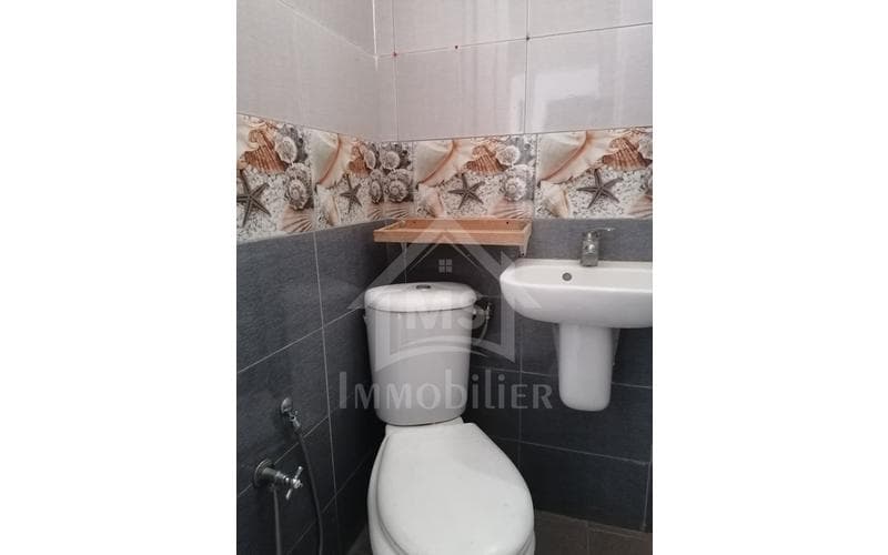 Appartement s+1 7