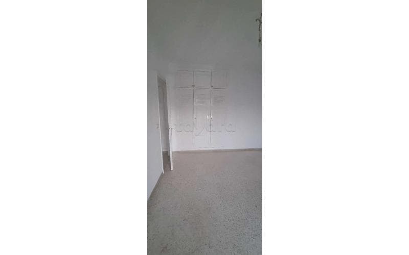 Appartement s+1