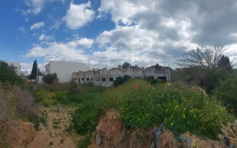 Terrain 3
