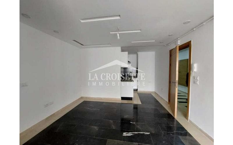 Appartement s+1