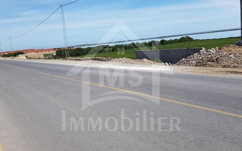 Terrain