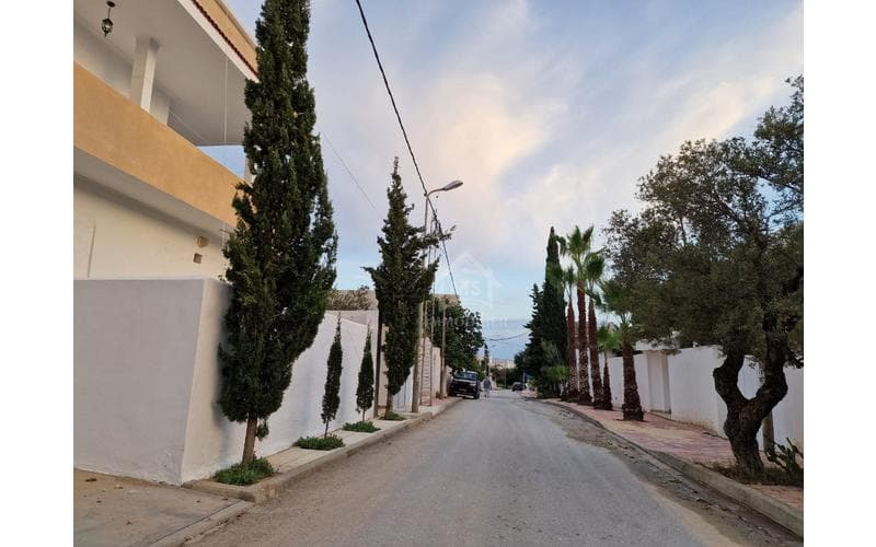 Terrain 5