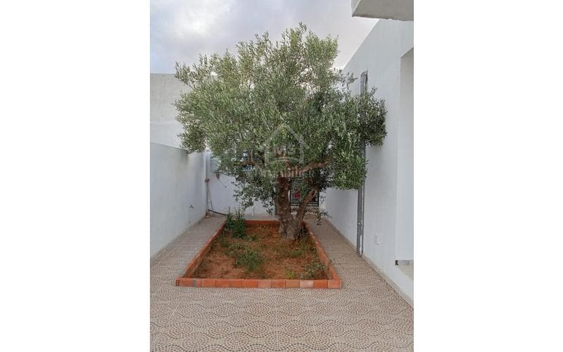 Maison s+2 5