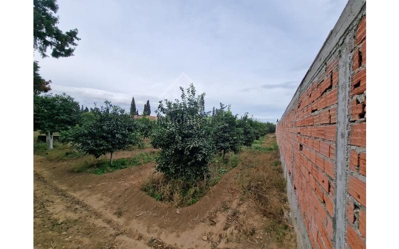 Terrain 2