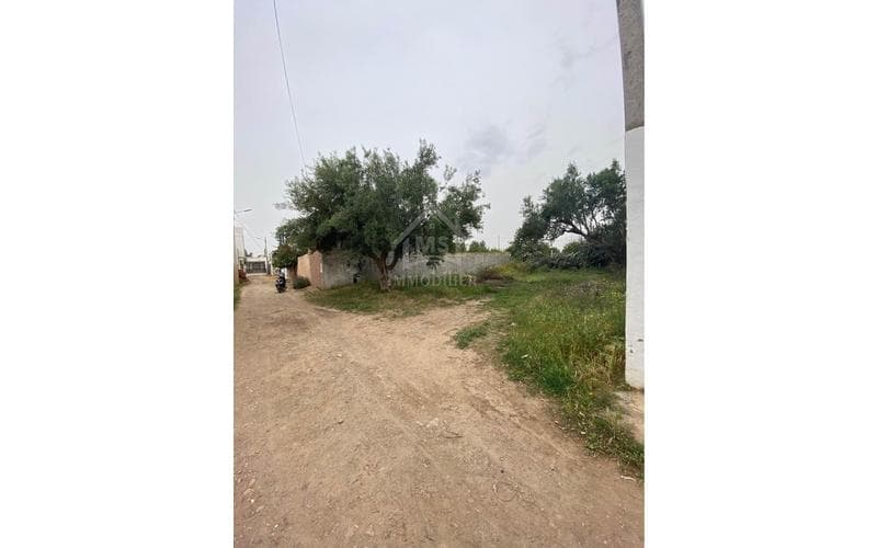 Terrain 3