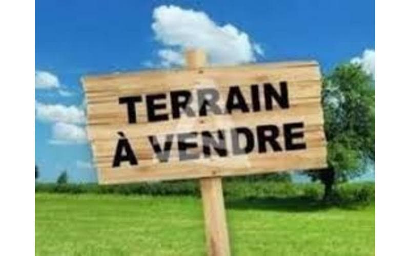 Terrain