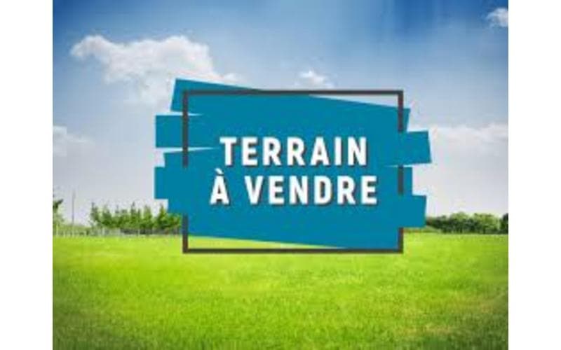 Terrain