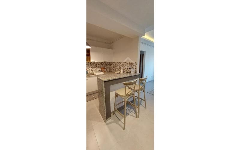 Appartement s+1 3