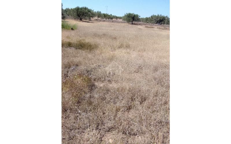 Terrain 3