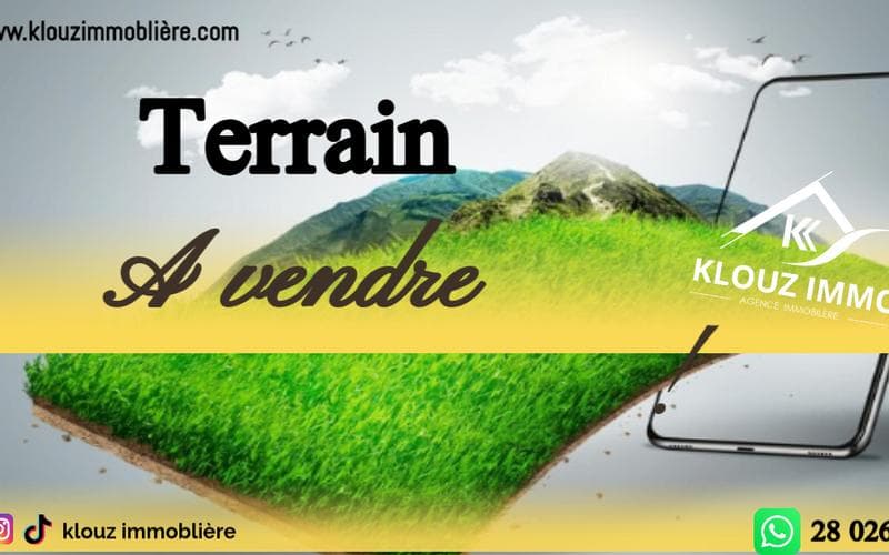 Terrain