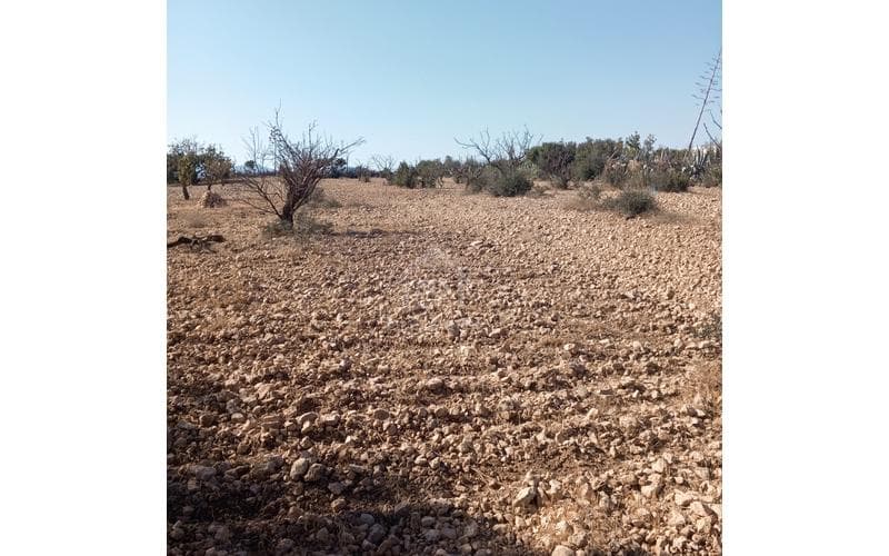 Terrain 2