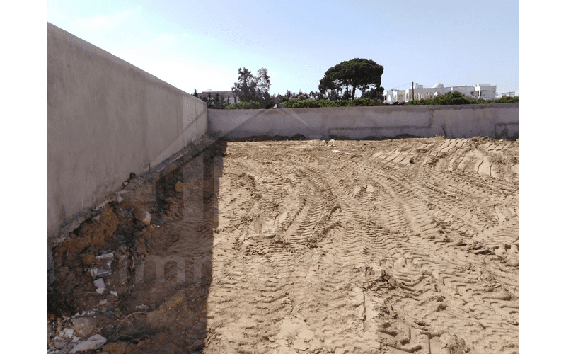 Terrain 2