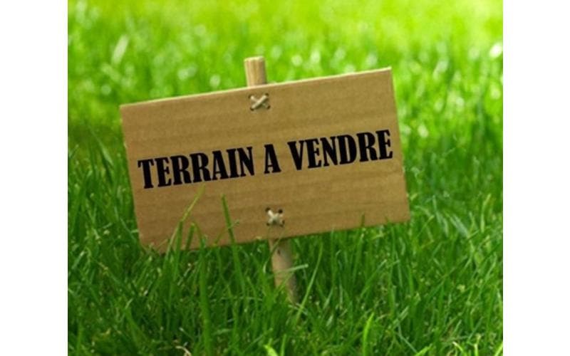 Terrain