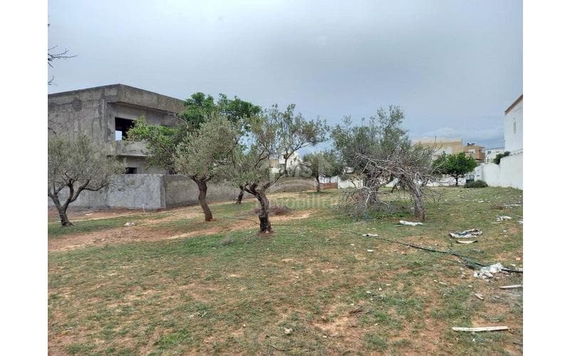 Terrain 4