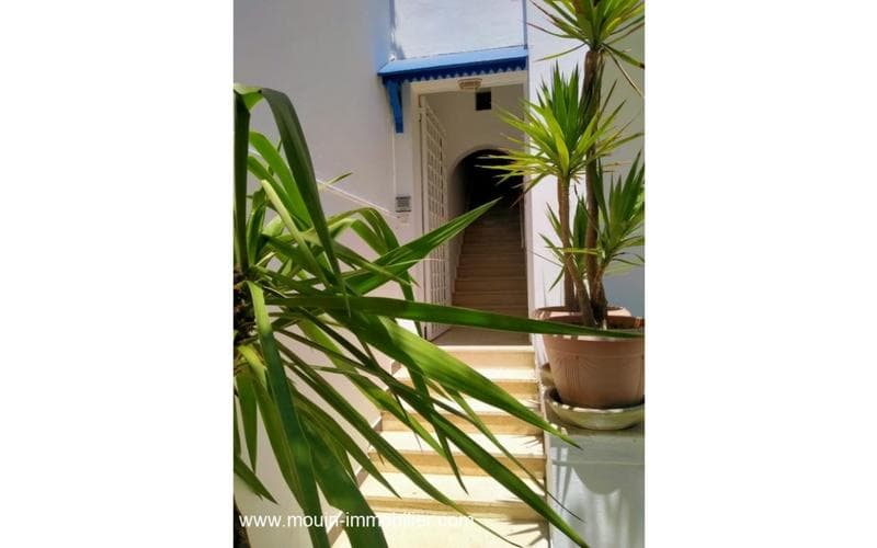 Appartement s+3 13