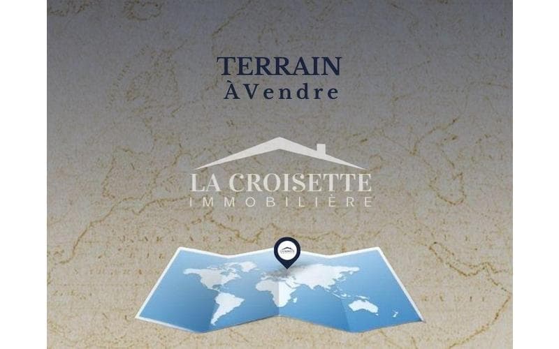 Terrain