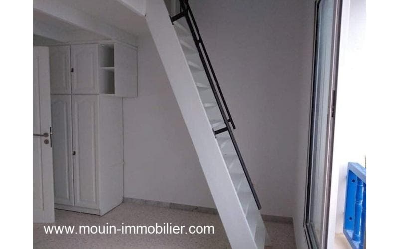 Duplex s+2 11